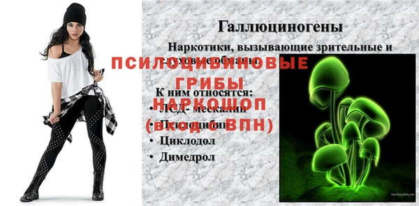 PSILOCYBIN Верхнеуральск