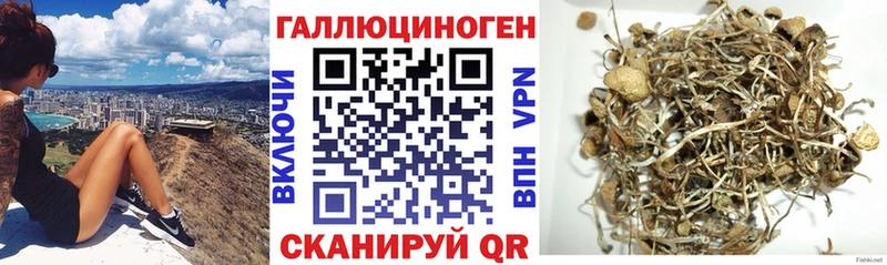 Галлюциногенные грибы прущие грибы  где купить наркоту  даркнет формула  Зеленодольск 